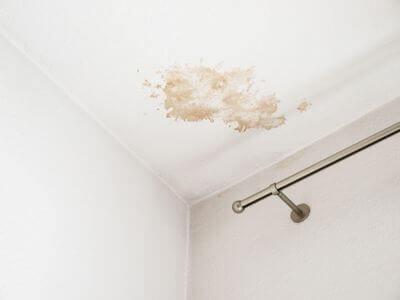 About BlueMint Co - water damage restoration experts in San Diego